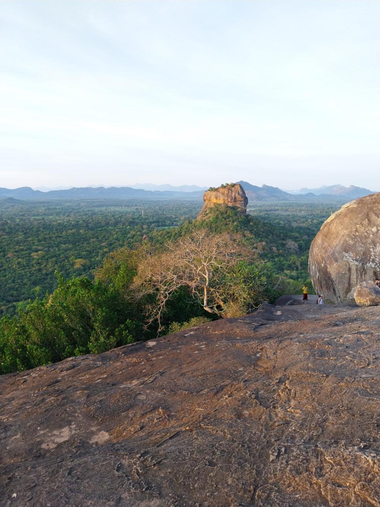 Near The Canal Homstay Sigiriya Buitenkant foto
